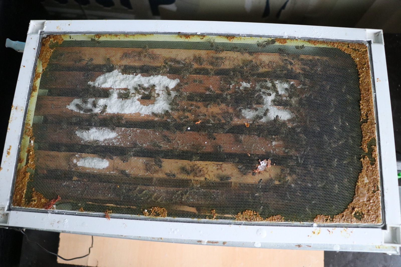 15 I N C I K A T T A K I E V I N I N O T U R M A O D A S I N A A R 1138044 337871