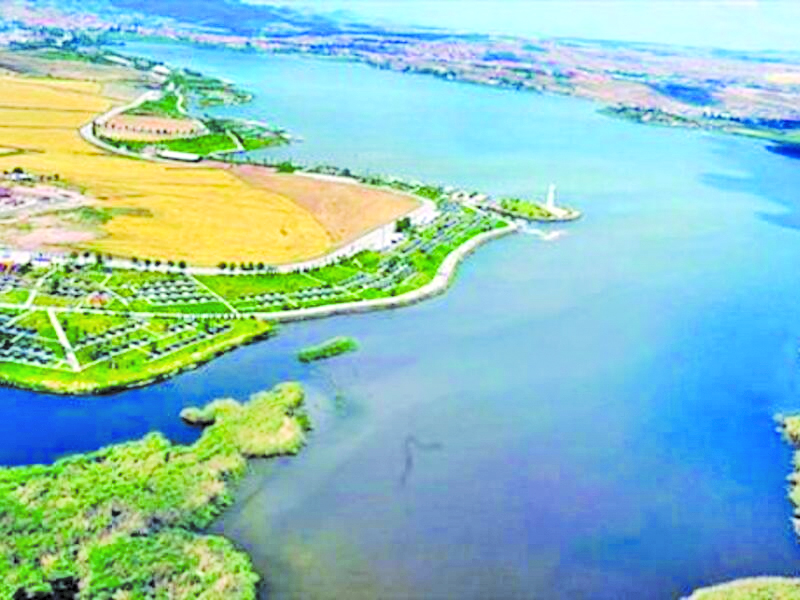 607Ee9266208256Ab2Dec9F5