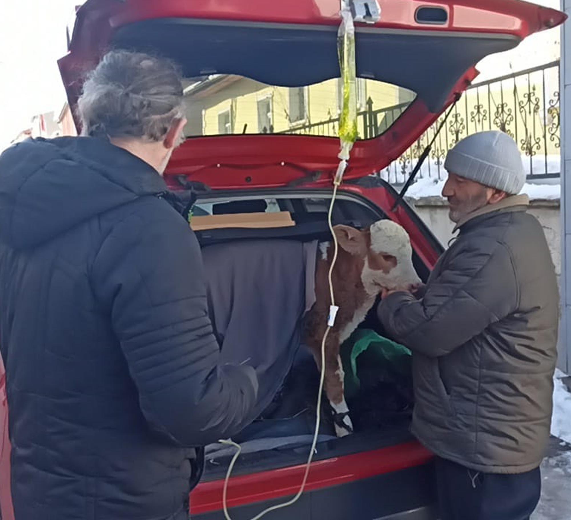 B U Z A G I Y A O T O M O B I L I N B A G A J I N D A S E R U M T E D A 1140986 338802