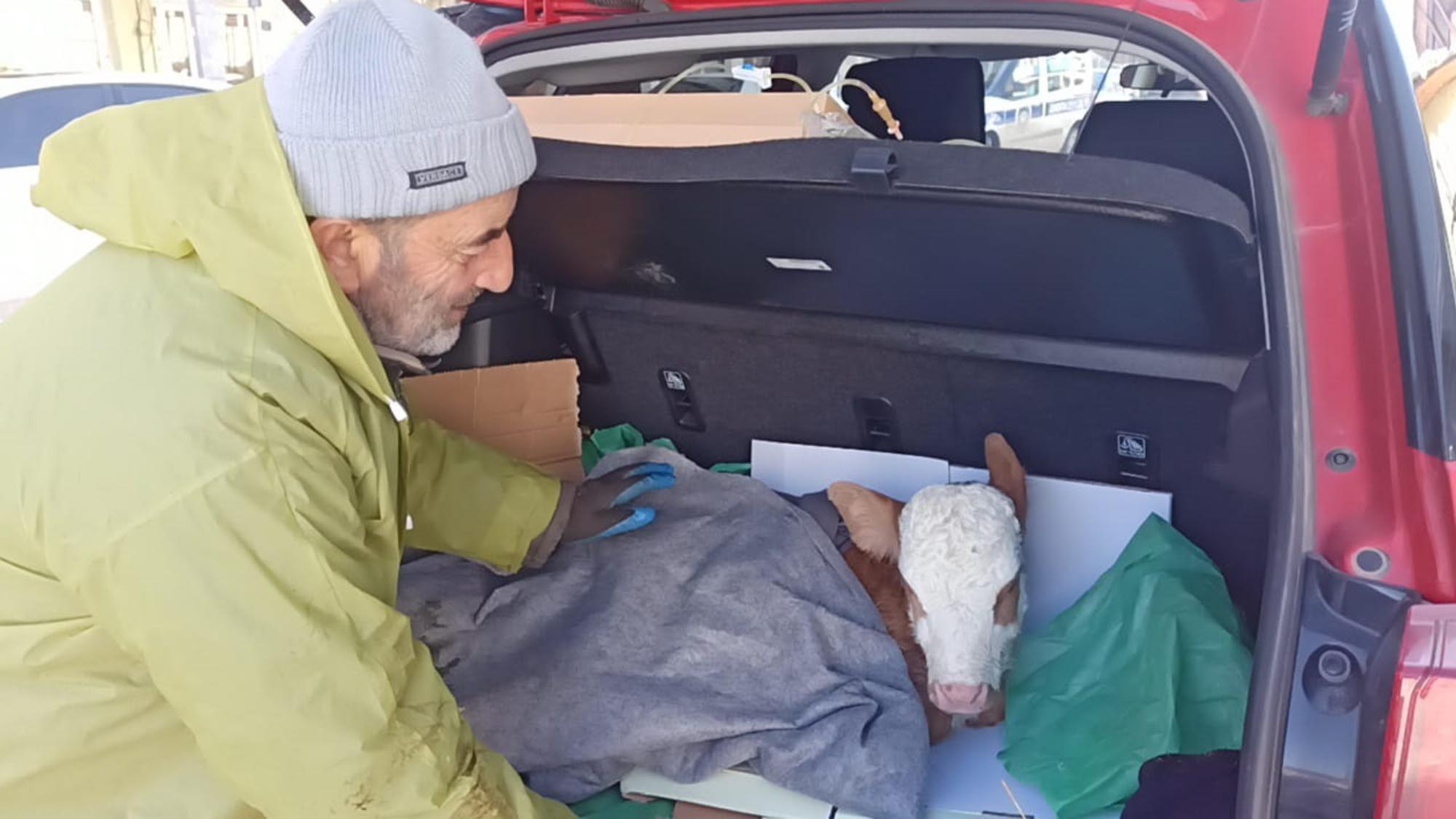 B U Z A G I Y A O T O M O B I L I N B A G A J I N D A S E R U M T E D A 1140992 338802