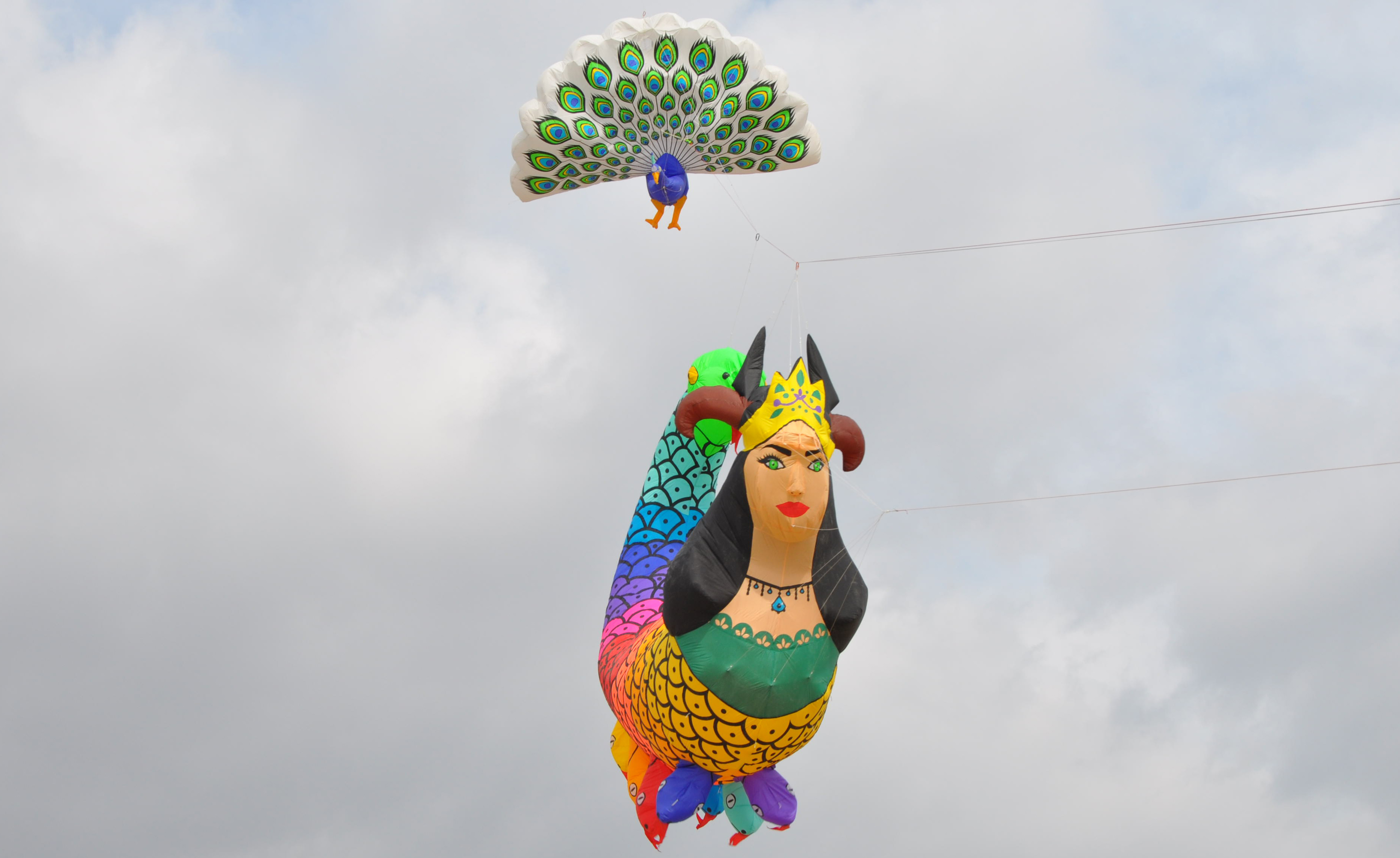 D U N Y A B I R I N C I S I ‘ T A V U S K U S U’ U C U R T M A S I Y L 1111857 330019-1