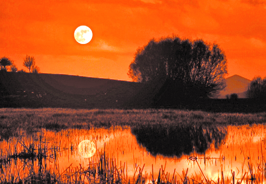 G O╠Ê L B A S╠Ğ I4