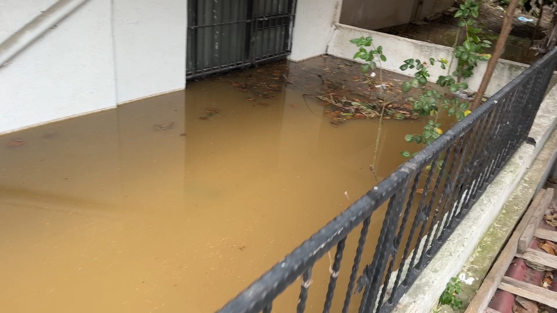 I S T A N B U L A V C I L A R D A 20 G U N I C E R I S I N D E 3 1097727 325840