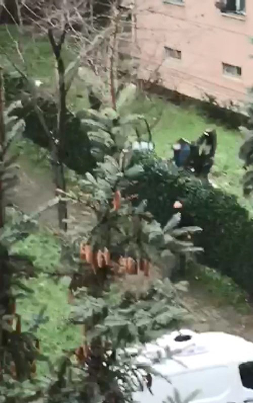 I S T A N B U L B E Y L I K D U Z U N D E C O C U K L A R A R A C L A 1123674 333426