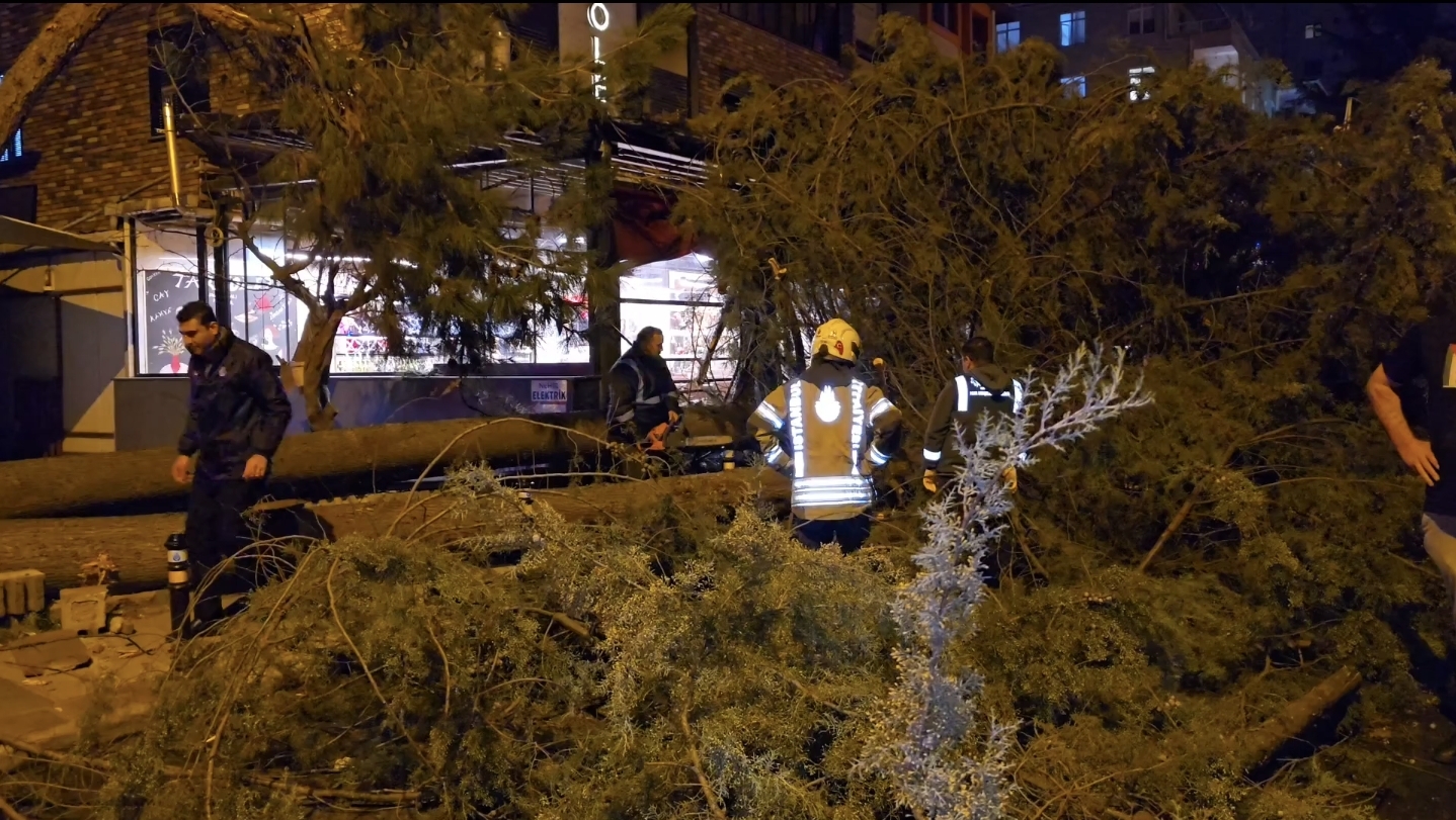 I S T A N B U L F I R T I N A N E D E N I Y L E B E Y L I K D U Z U 1140913 338770