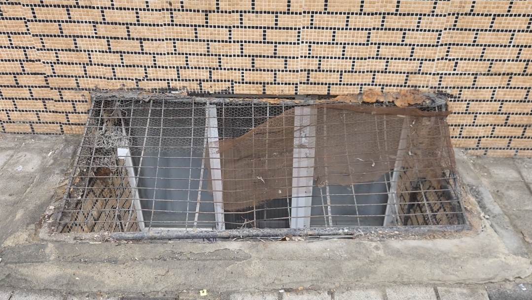 I S T A N B U L S U L T A N G A Z I D E E S K I E S I N I N Y A S A 1133840 336608