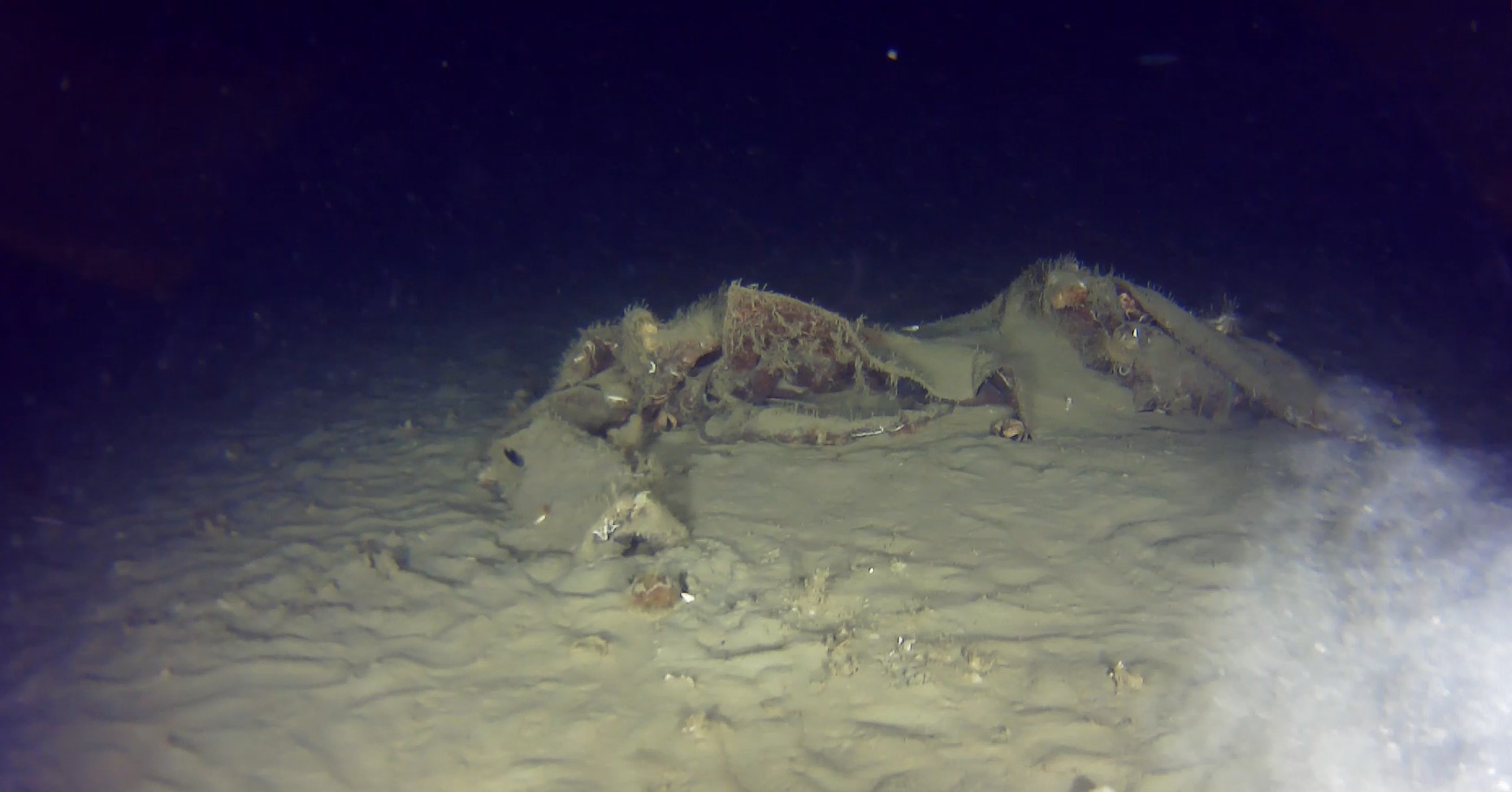 I S T A N B U L T H Y N I N 50 Y I L O N C E D U S E N U C A 1133632 336548