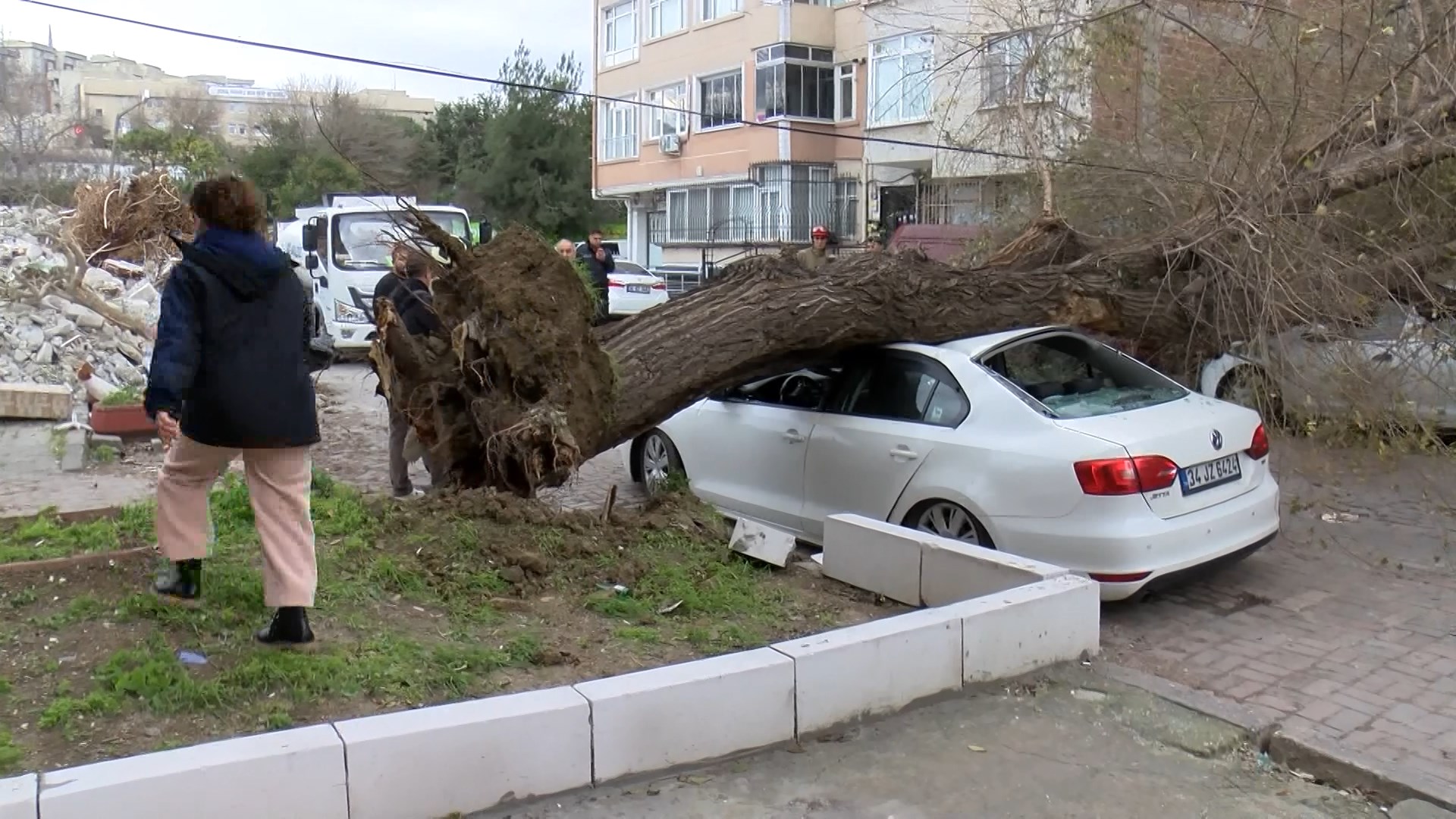 Istanbul Istanbulda Lodos Agac 4 Ara 1096200 325403 (1)
