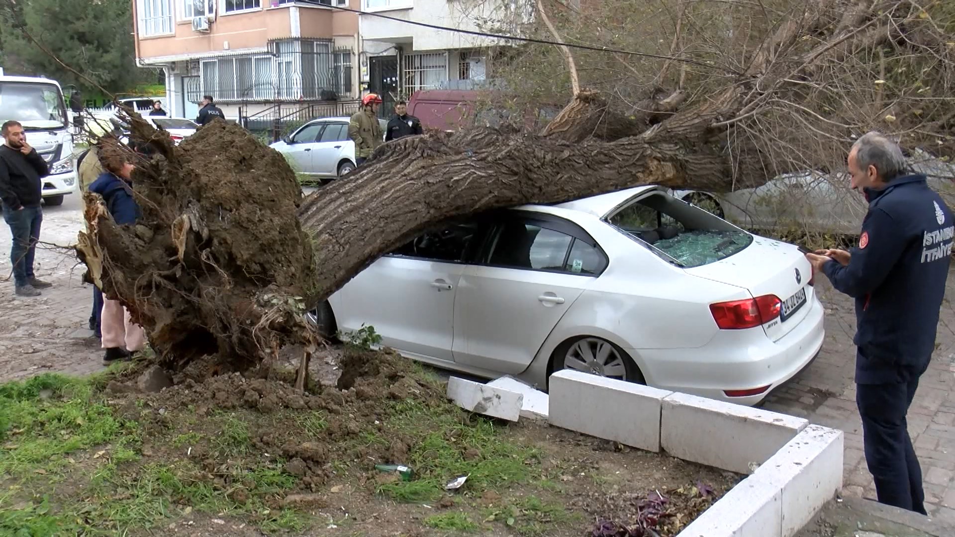 Istanbul Istanbulda Lodos Agac 4 Ara 1096201 325403 (1)