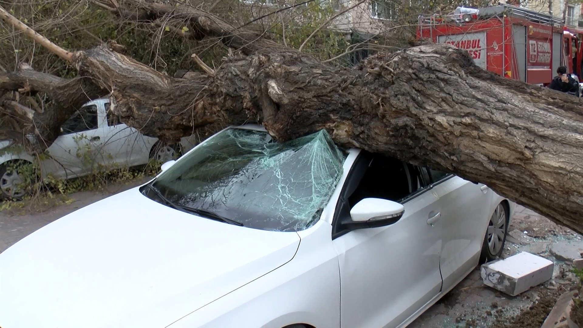 Istanbul Istanbulda Lodos Agac 4 Ara 1096203 325403 (1)