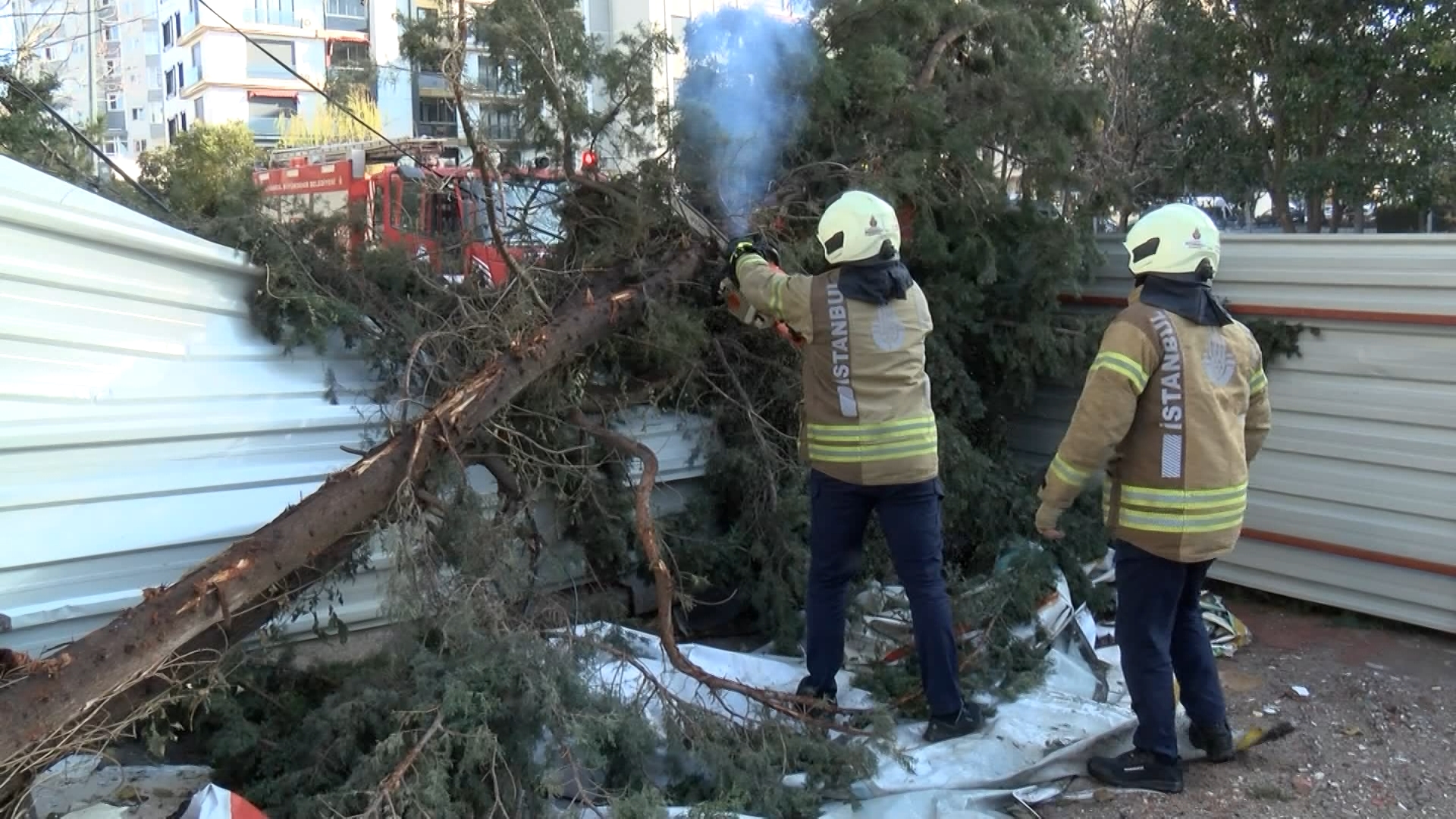 Istanbul Maltepe’de Kokunden Kirilan A 1112922 330382 (1)