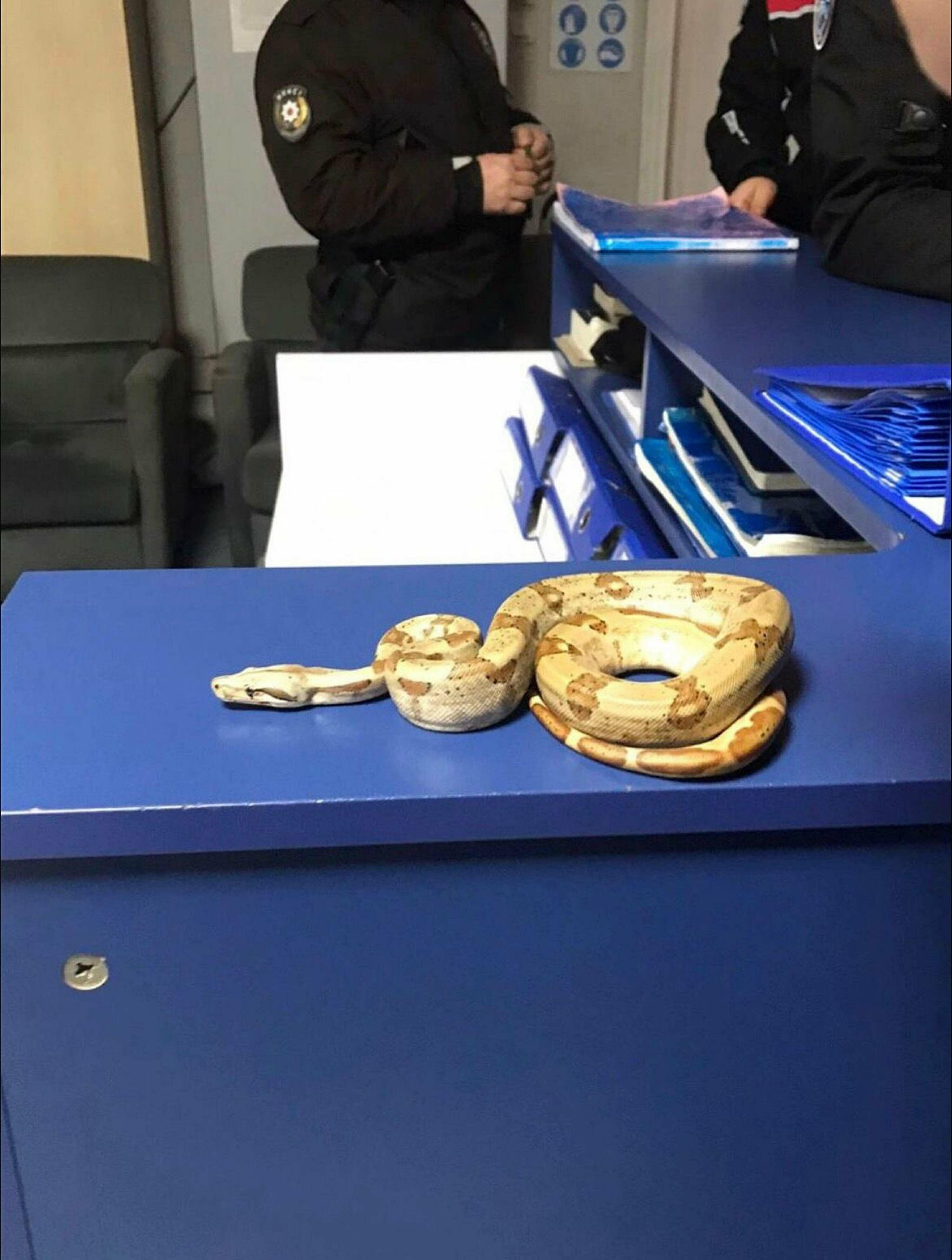 K A F E D E M I S I R Y I L A N I G E Z D I 11 B I N 977 T L 1102413 327270