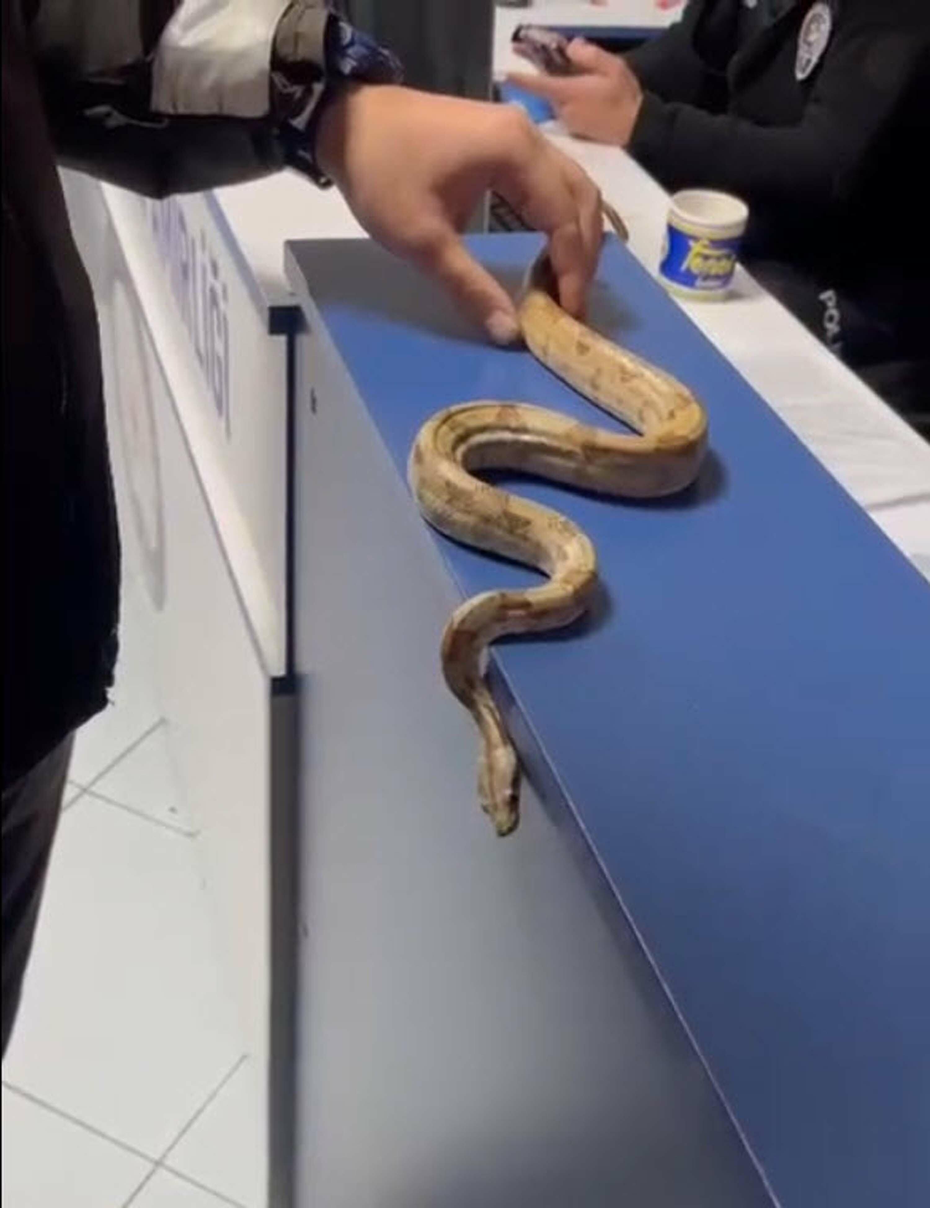 K A F E D E M I S I R Y I L A N I G E Z D I 11 B I N 977 T L 1102414 327270