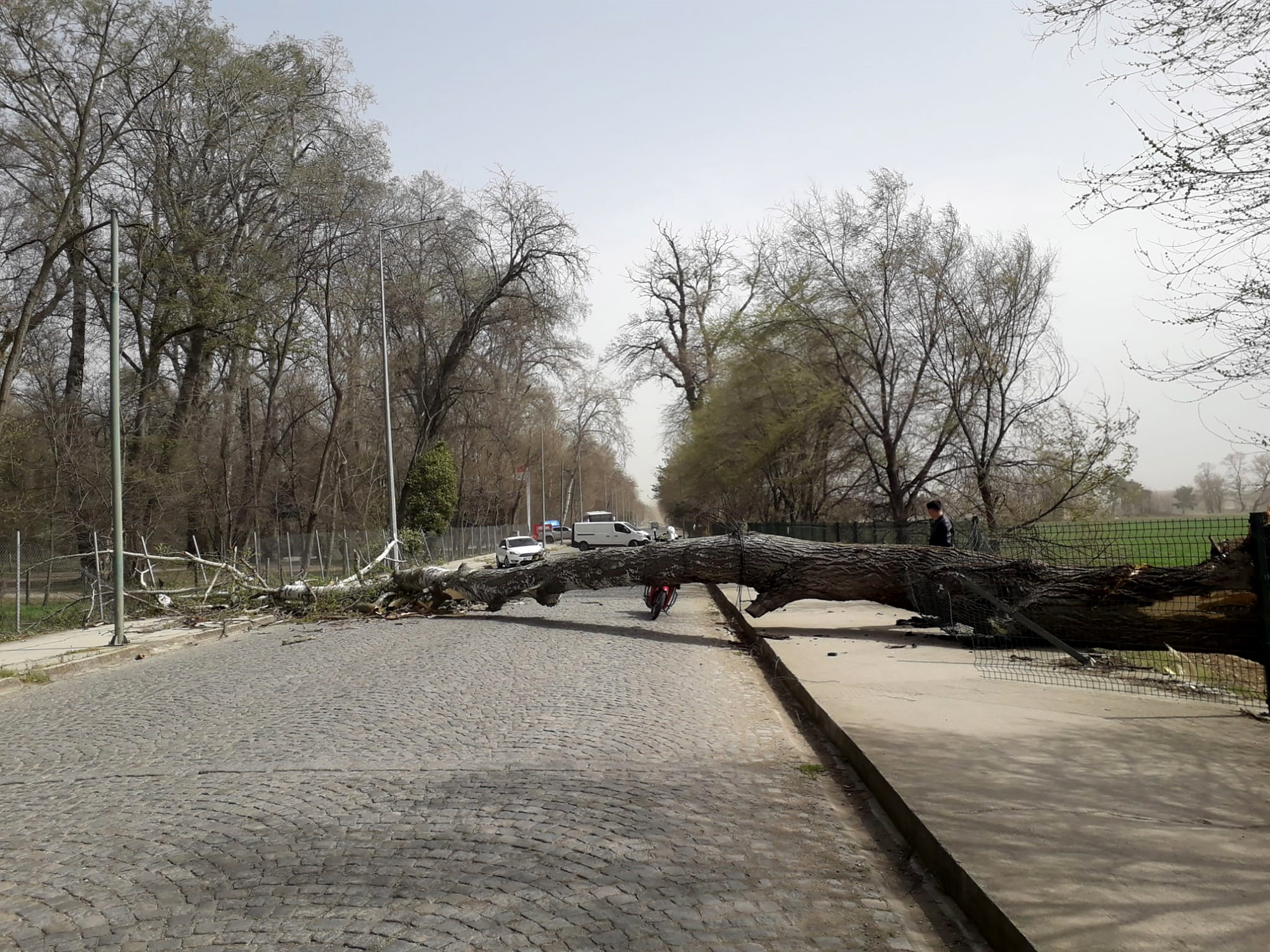 M A R M A R A’ N I N B A T I S I I C I N ‘ F I R T I N A’ U Y A R I S 1143278 339463