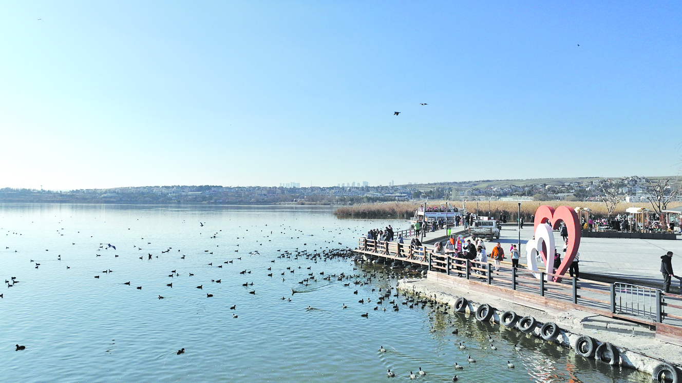 Mogan Go╠Êlu╠Ê