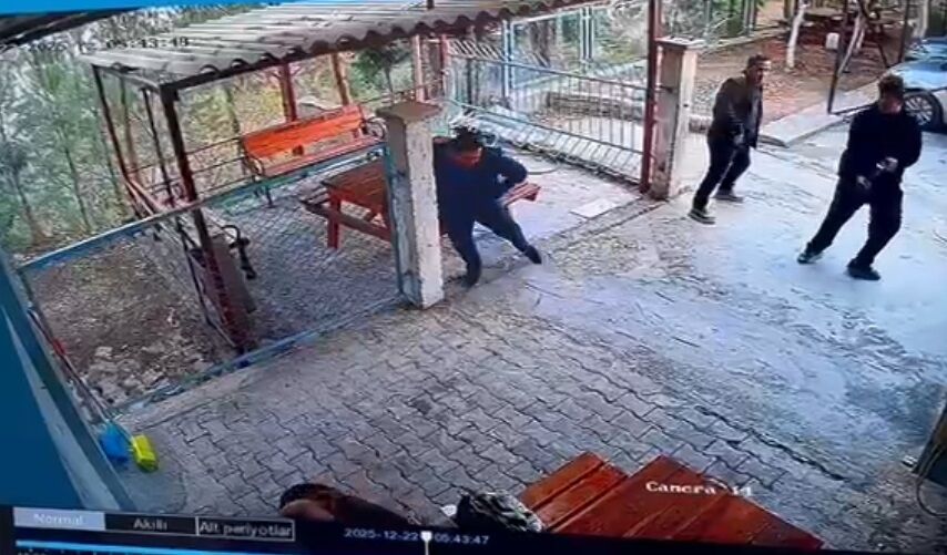 O G R E N C I S I N I N O K U L B A H C E S I N D E T U F E K L E V U R 1078006 324892