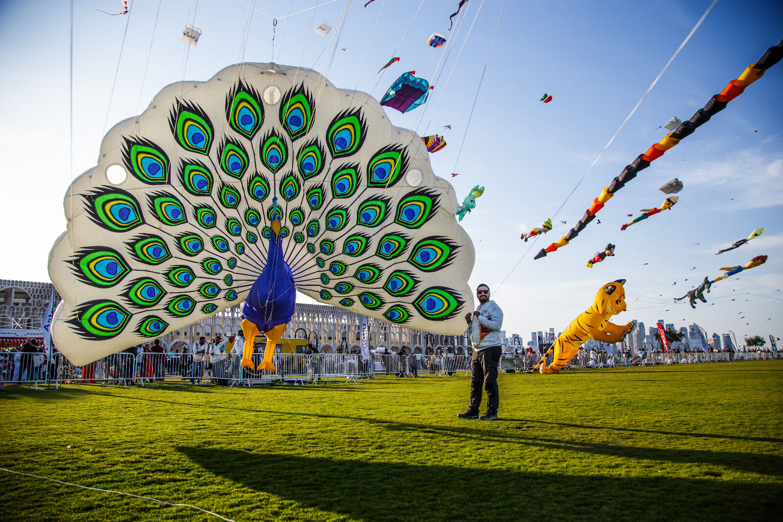 Tavus kuşu uçurtmasıyla dünya şampiyonu!