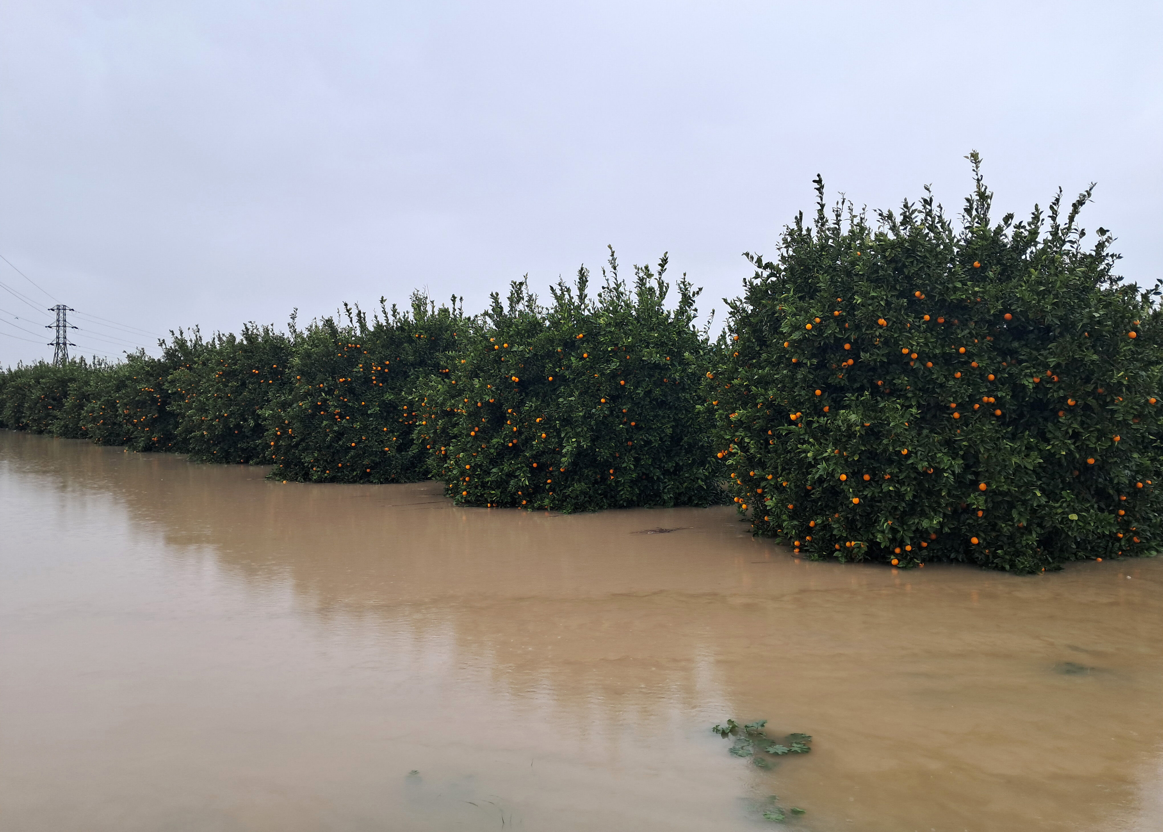 A N T A L Y A D A F I R T I N A H O R T U M V E S E L F E L A K E 1190013 353605