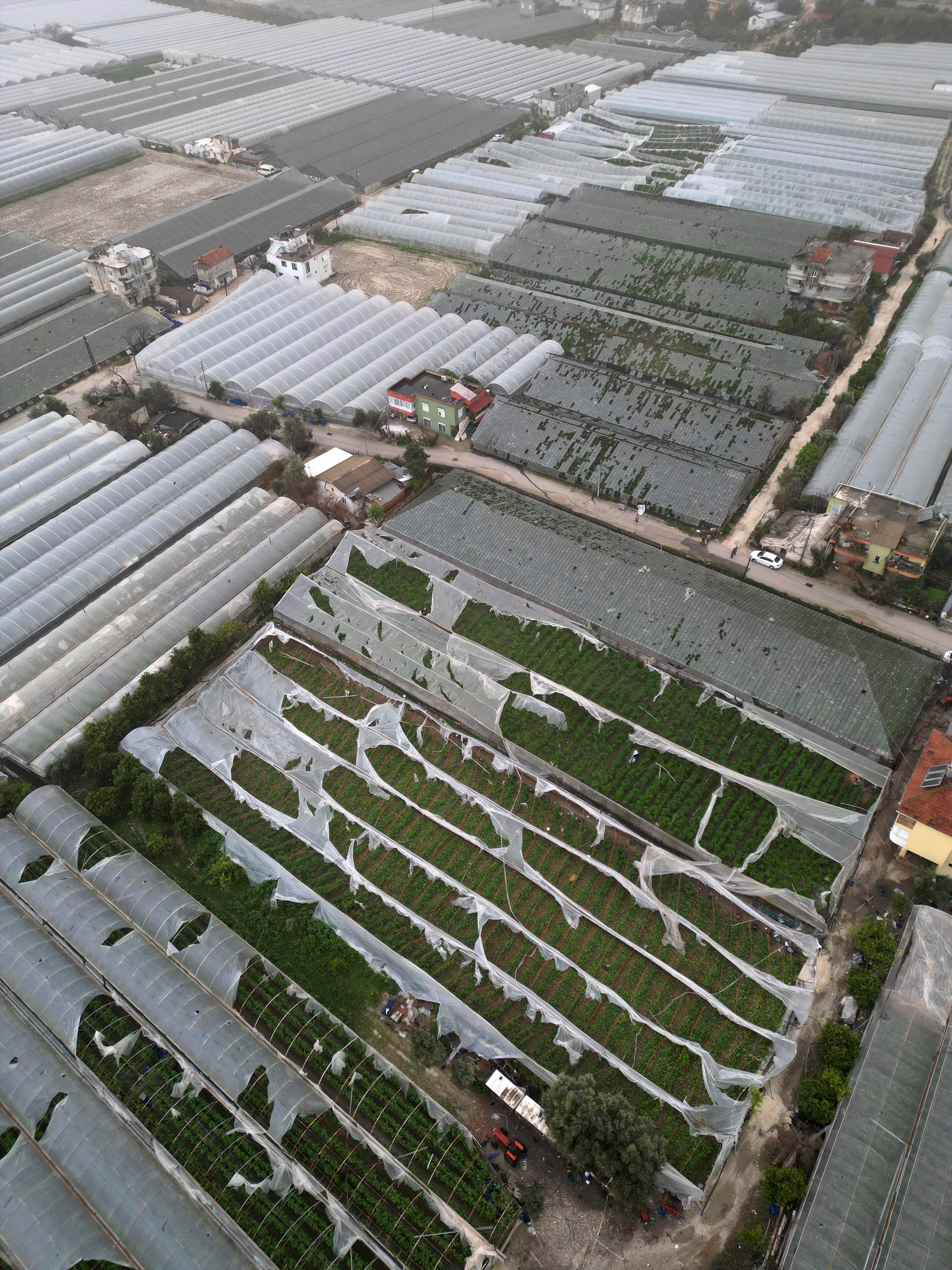 A N T A L Y A D A F I R T I N A H O R T U M V E S E L F E L A K E 1190014 353605