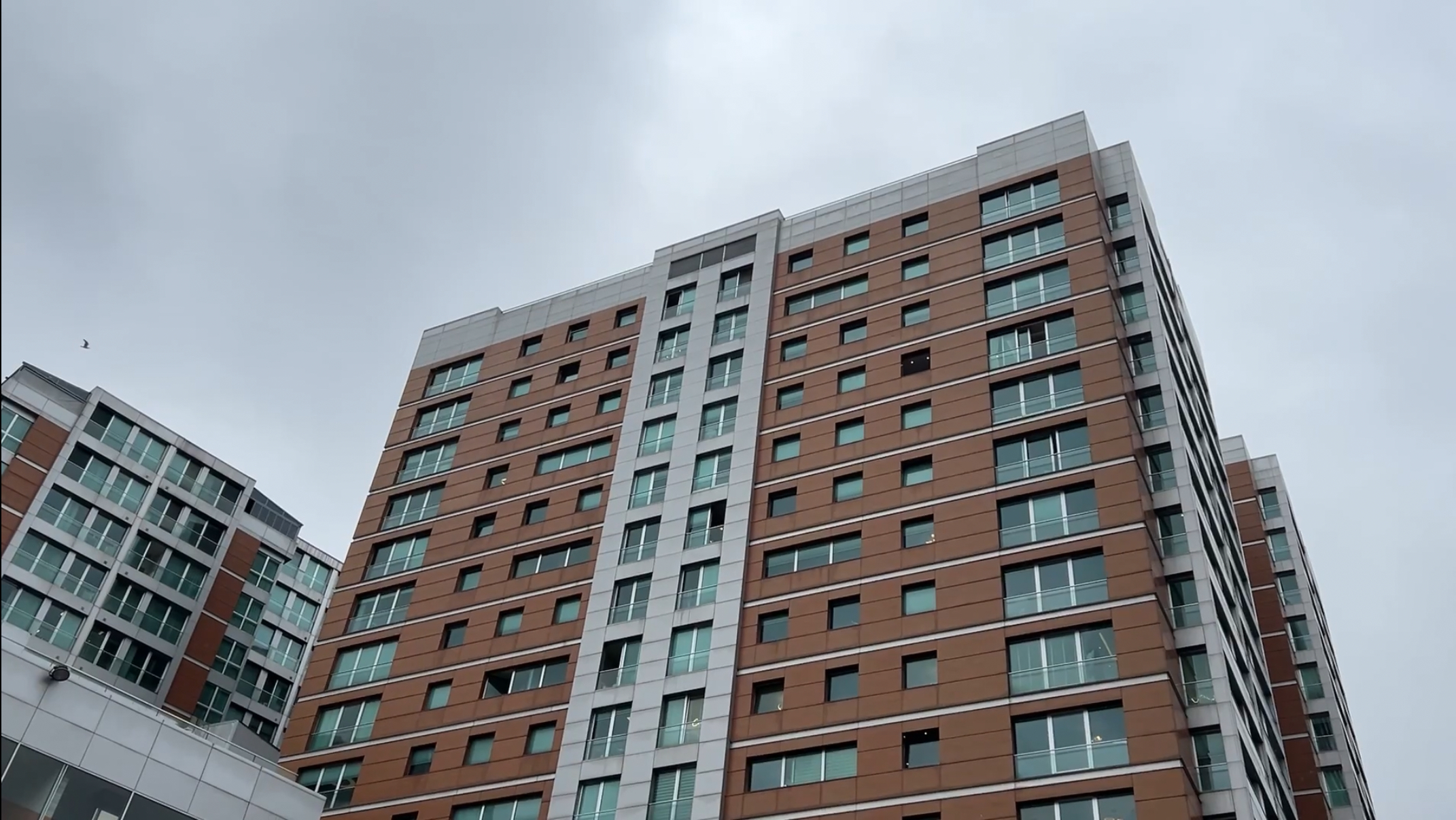 Istanbul Sisli’de Is Insani Musa Toyk 1147357 340719 (1)