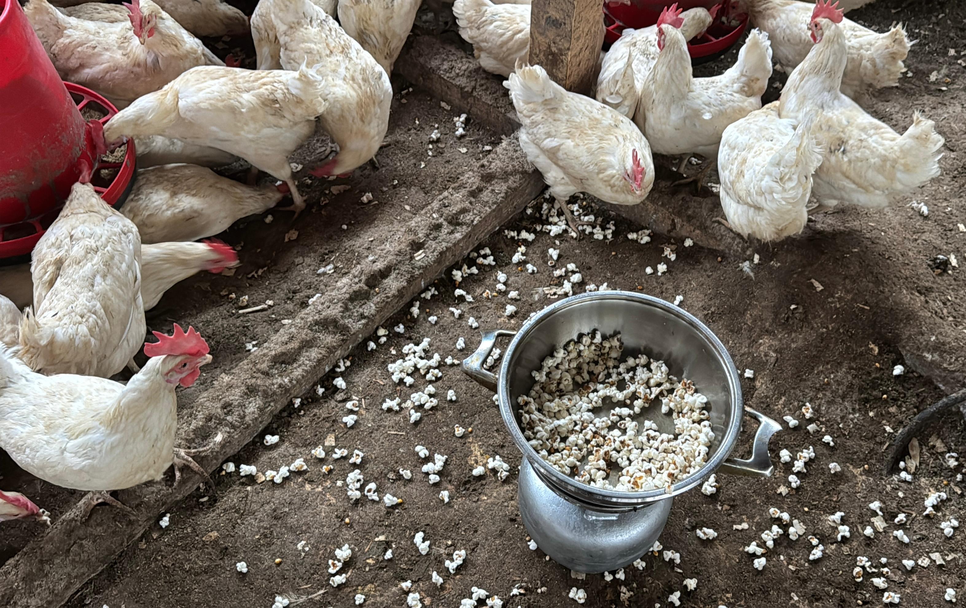 S T R E S E G I R E N T A V U K L A R I I C I N K U M E S T E M I S I 1159021 344145