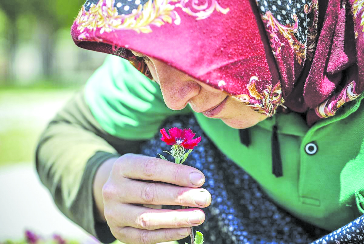 Sevgi Cicegi Ne Ozel Koruma Sadece Ankara Nin Golbasi Ilcesinde Yetisiyor 3 1622026725