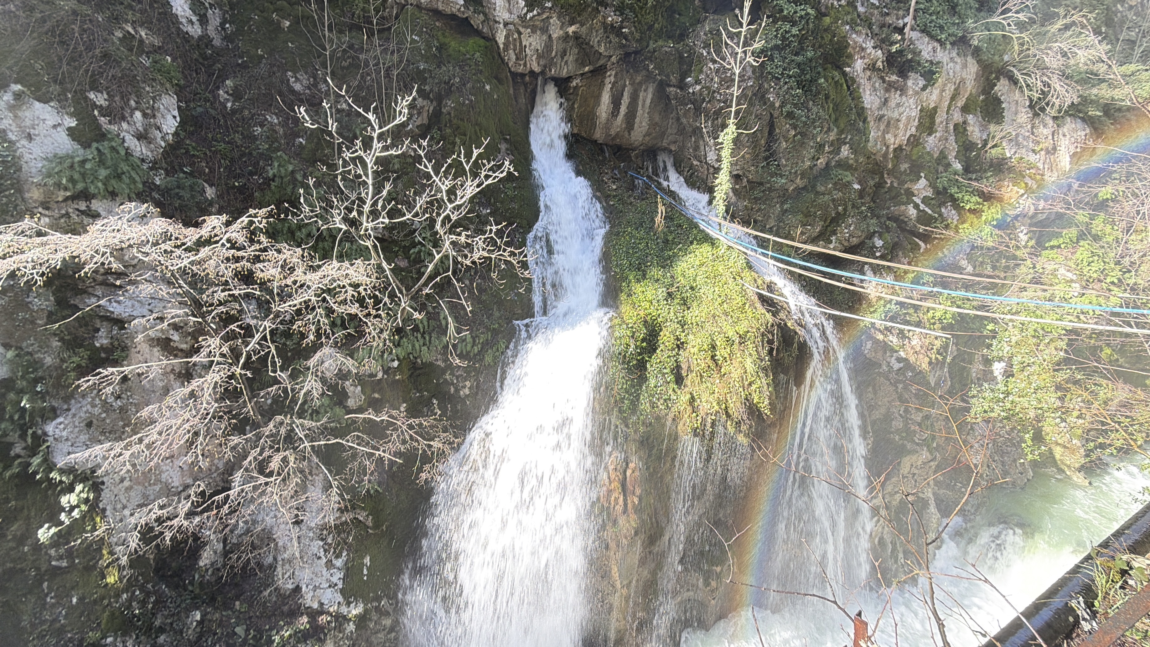 U L U K A Y A K A N Y O N U N D A I K I N C I S E L A L E O L U S T U 1150881 341782