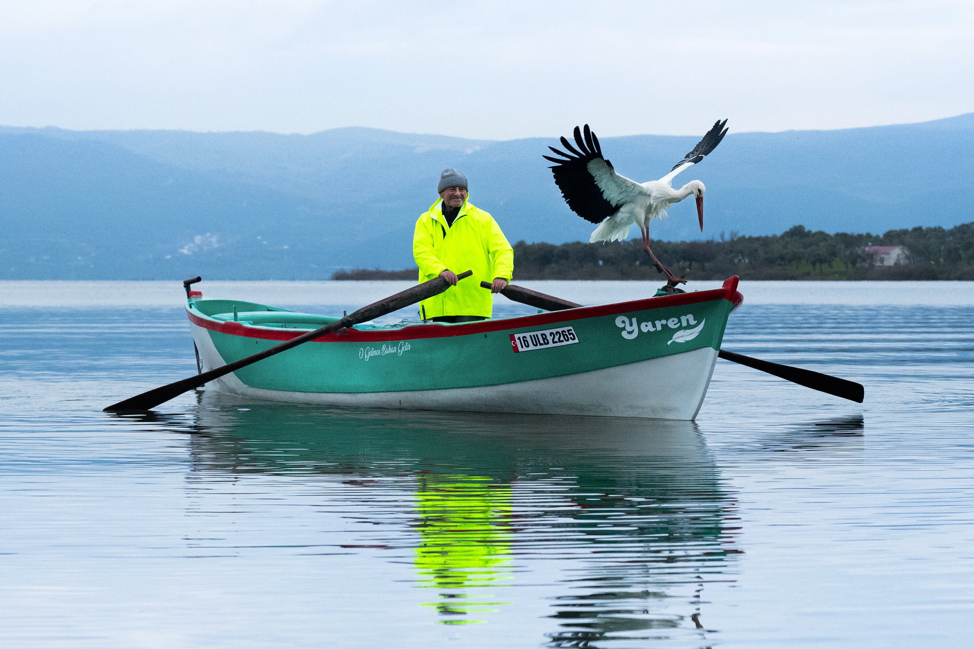 Y A R E N L E Y L E K I L E A D E M A M C A 15 I N C I K E Z 1188718 353223