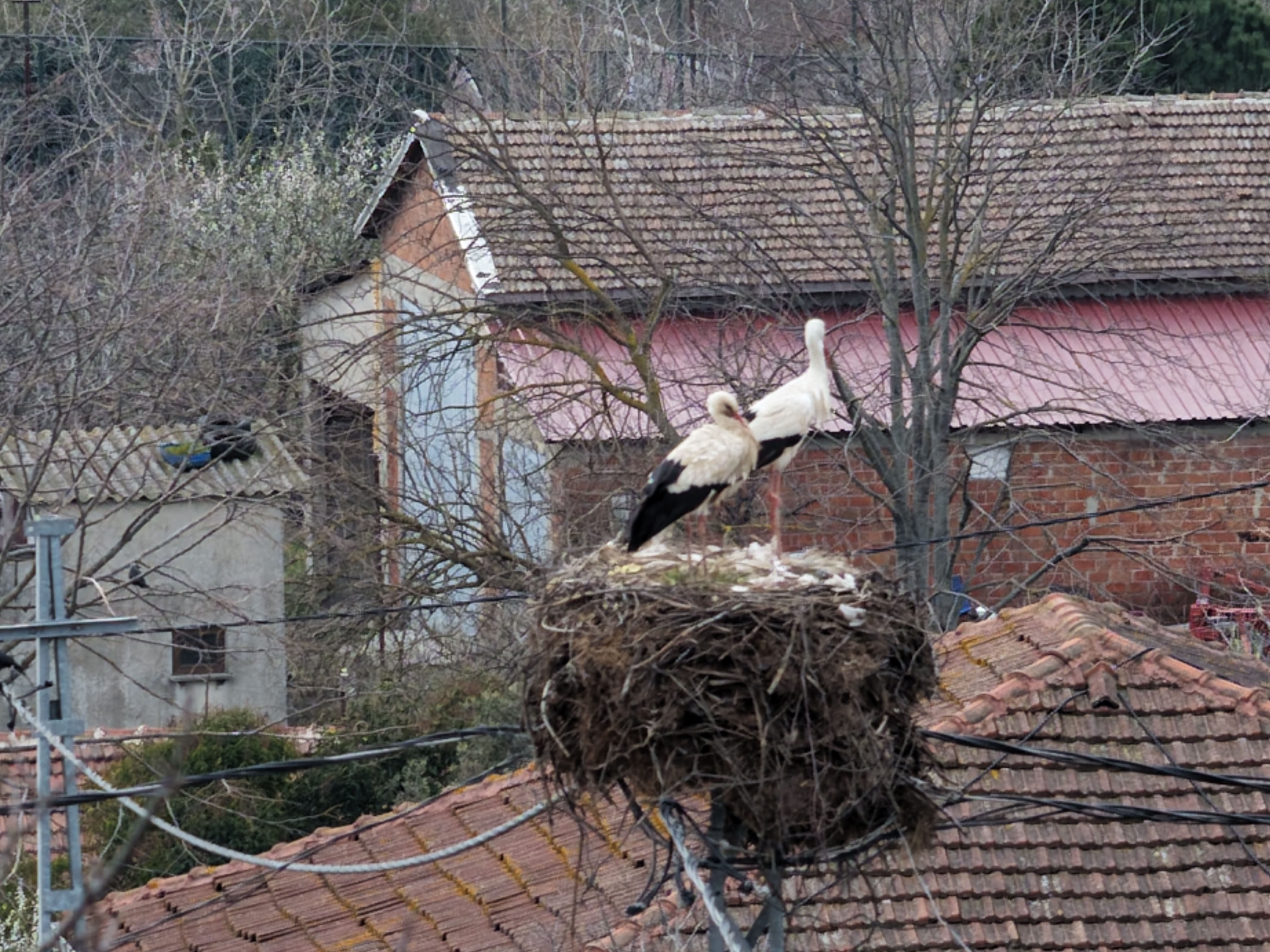 I S T A N B U L A F R I K A D A N G O C E D E N L E Y L E K L E R 1232830 366644