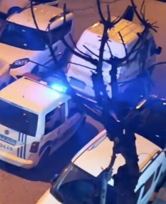 I S T A N B U L B A H C E L I E V L E R D E K I Z A R K A D A S I N 1191255 354014