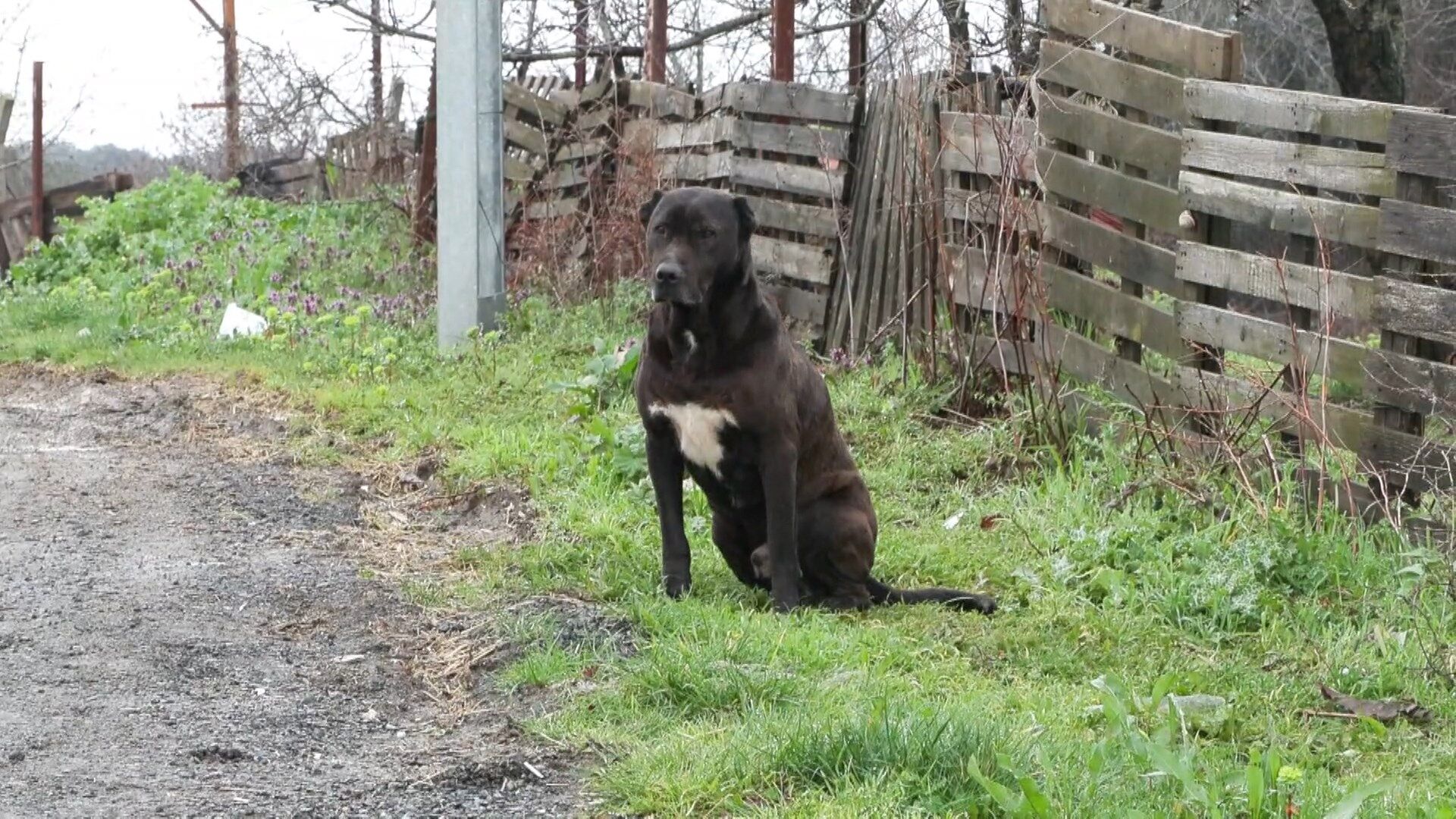 I S T A N B U L E Y U P S U L T A N D A O K U L D A N E V E D O N 1227711 365175