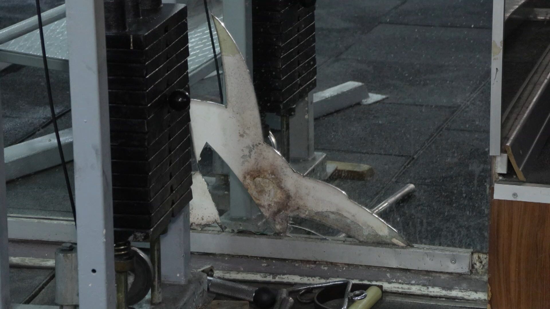 I S T A N B U L G U N G O R E N’ D E S P O R S A L O N U N U S U 1223946 363919