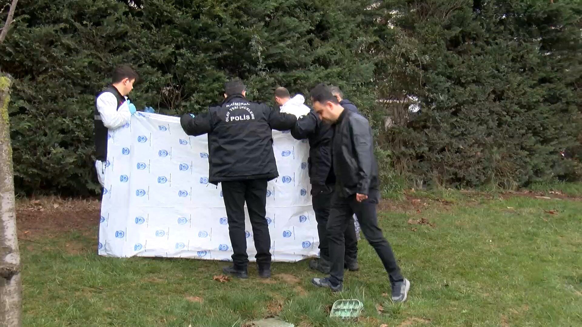 I S T A N B U L S A N C A K T E P E D E B E B E K C E S E D I B U 1233197 366742