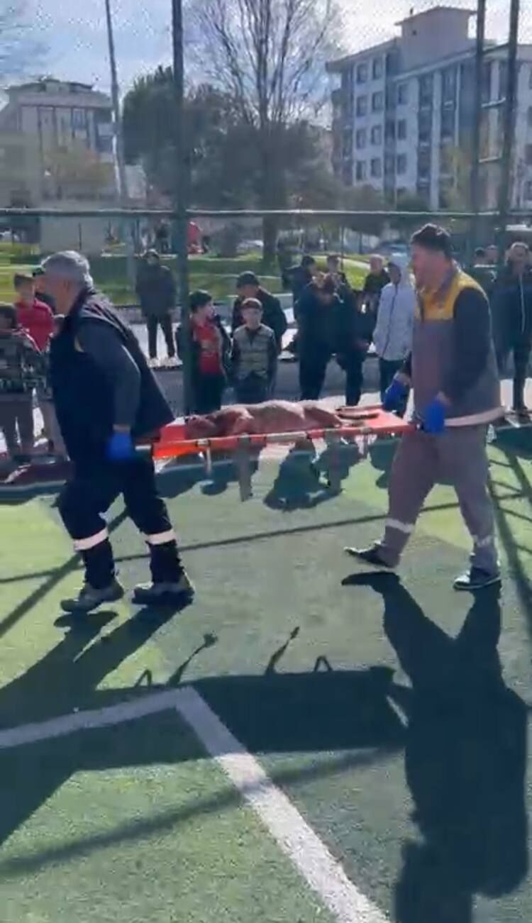 I S T A N B U L S U L T A N G A Z I’ D E F U T B O L S A H A S I N D A 1202508 357547