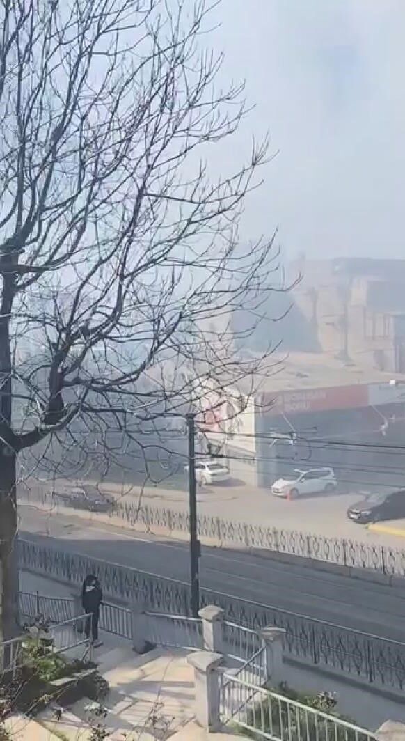 I S T A N B U L Z E Y T I N B U R N U D E M I R C I L E R S I T E S I 1207549 359095