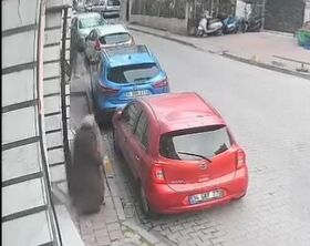 Istanbul Fatihte Sokakta Kadinin Elin 1216675 361763 (1)