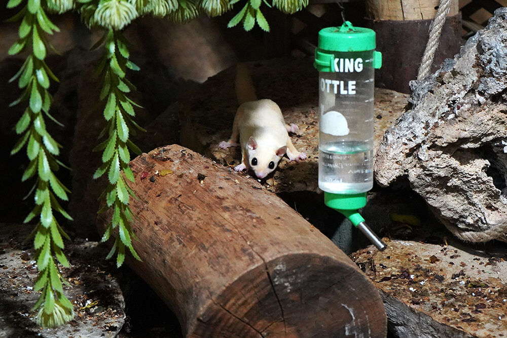 K A C A K B A K I L A N 33 U C A N S I N C A P R E H A B I L I T 1232868 366654-1