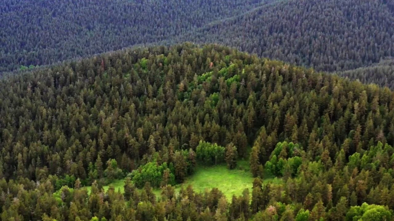 Milli Parklar Kanun Teklifi Tbmmde Kabul Edildi