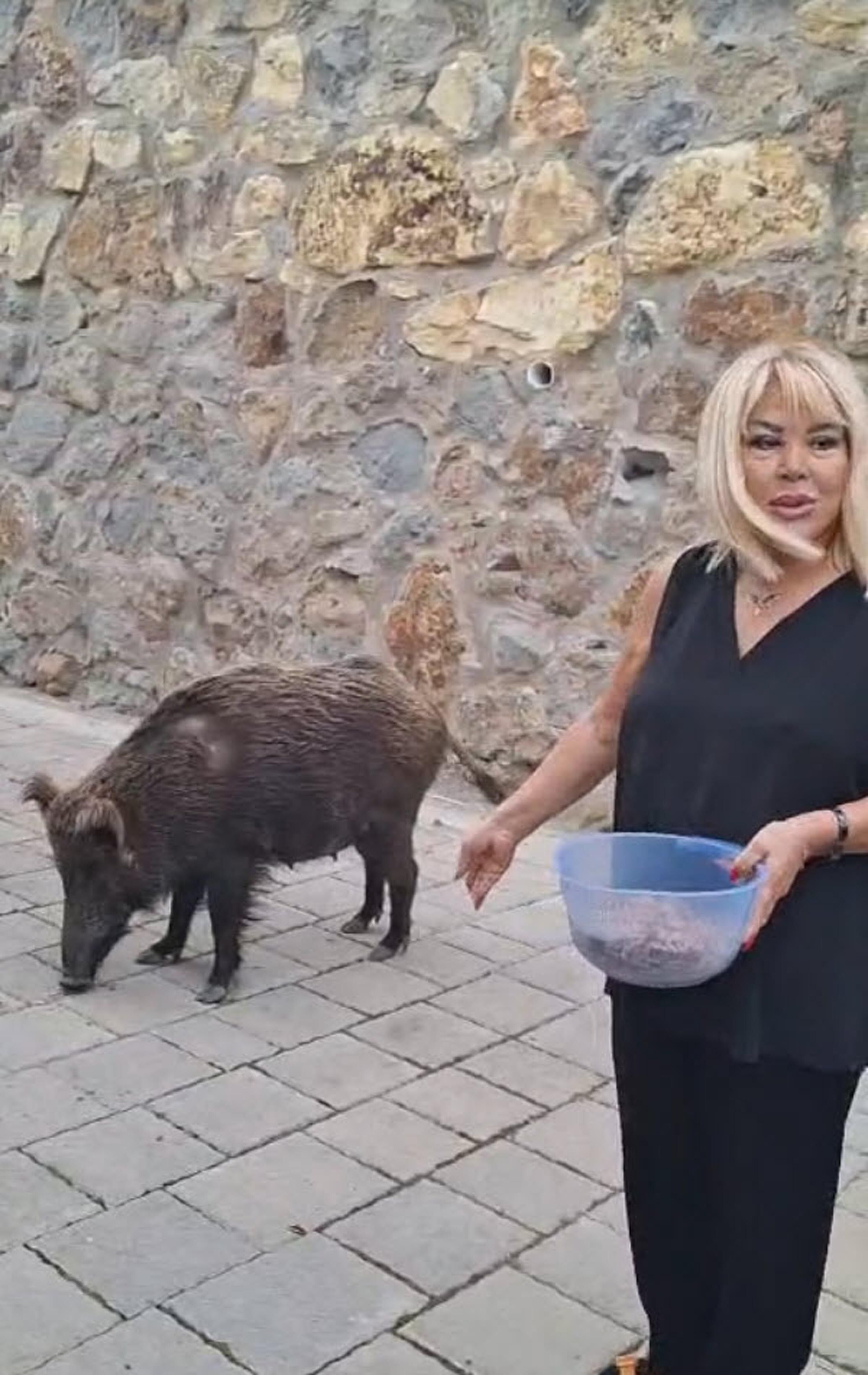 S A R K I C I S A F I Y E S O Y M A N K A P I S I N A G E L E N Y A 1225657 364445