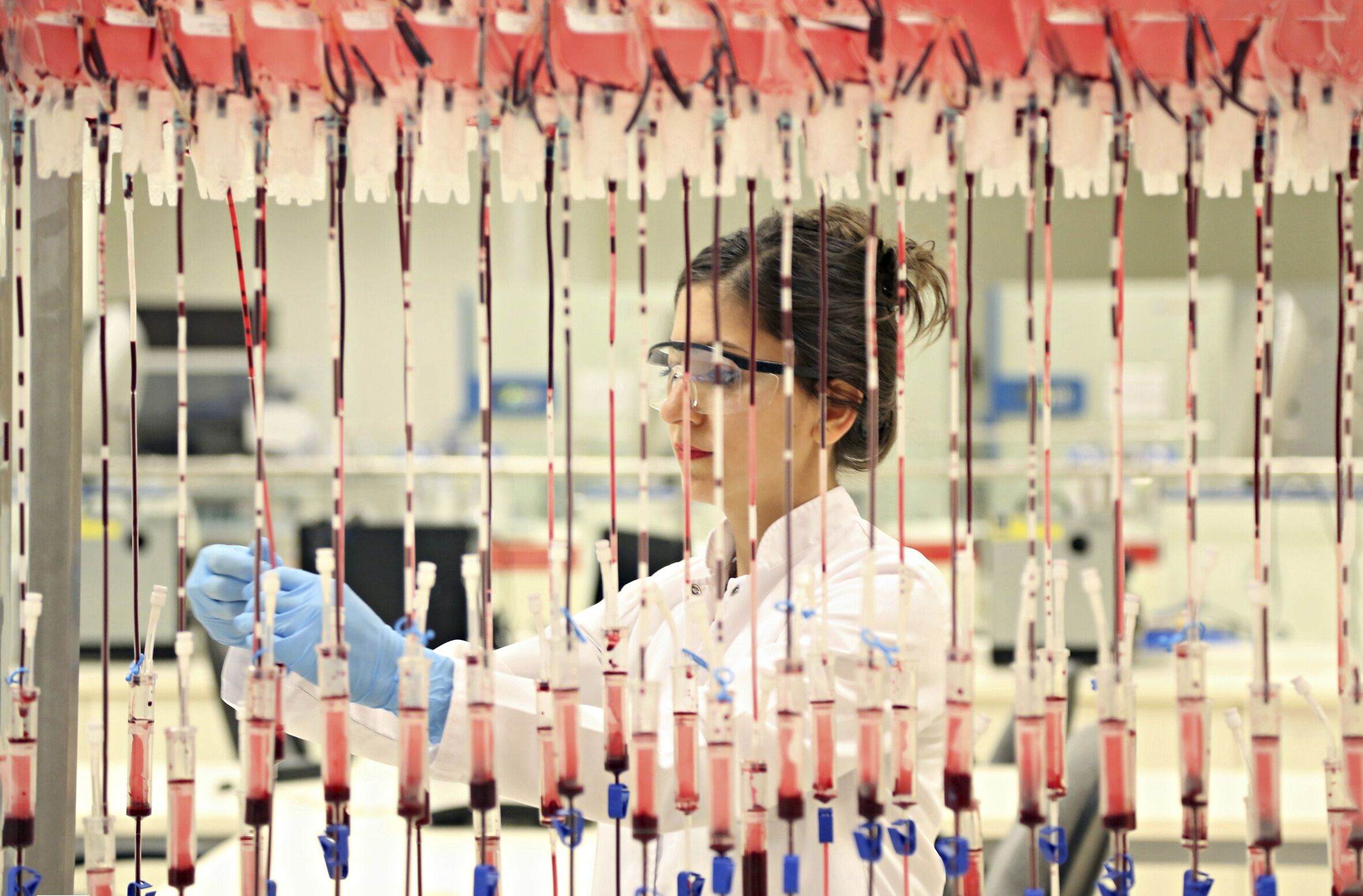 T U R K K I Z I L A Y D A N I F T A R S O N R A S I K A N B A G I 1200007 356887