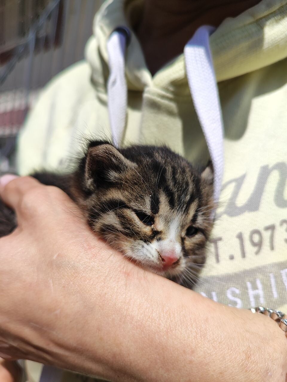 A V C I L A R’ D A Y I K I M I Y A P I L A N B I N A D A M A H S U R 1247571 371150