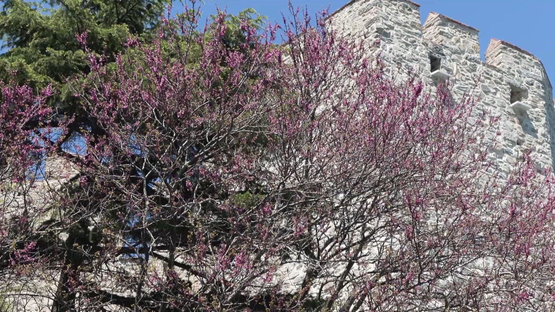 B A H A R I N H A B E R C I S I E R G U V A N L A R I S T A N B U L D A 1279341 380683