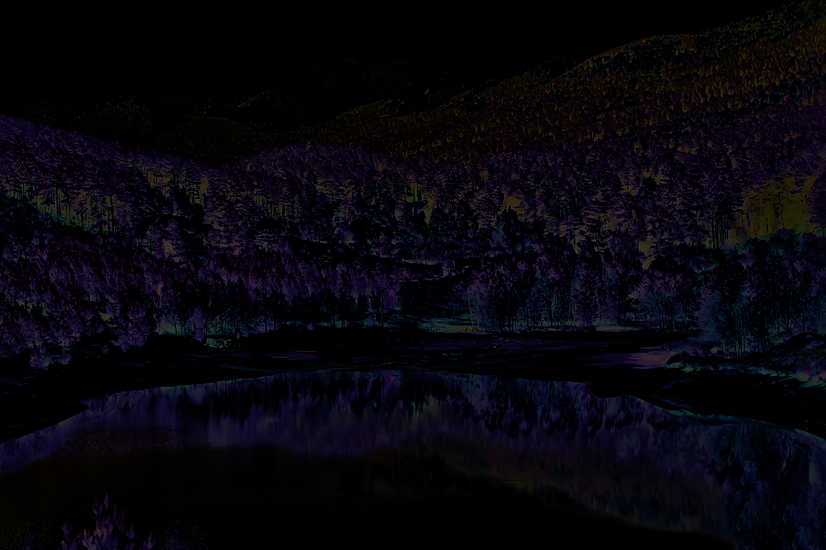 Barakl─▒ Go╠Êleti