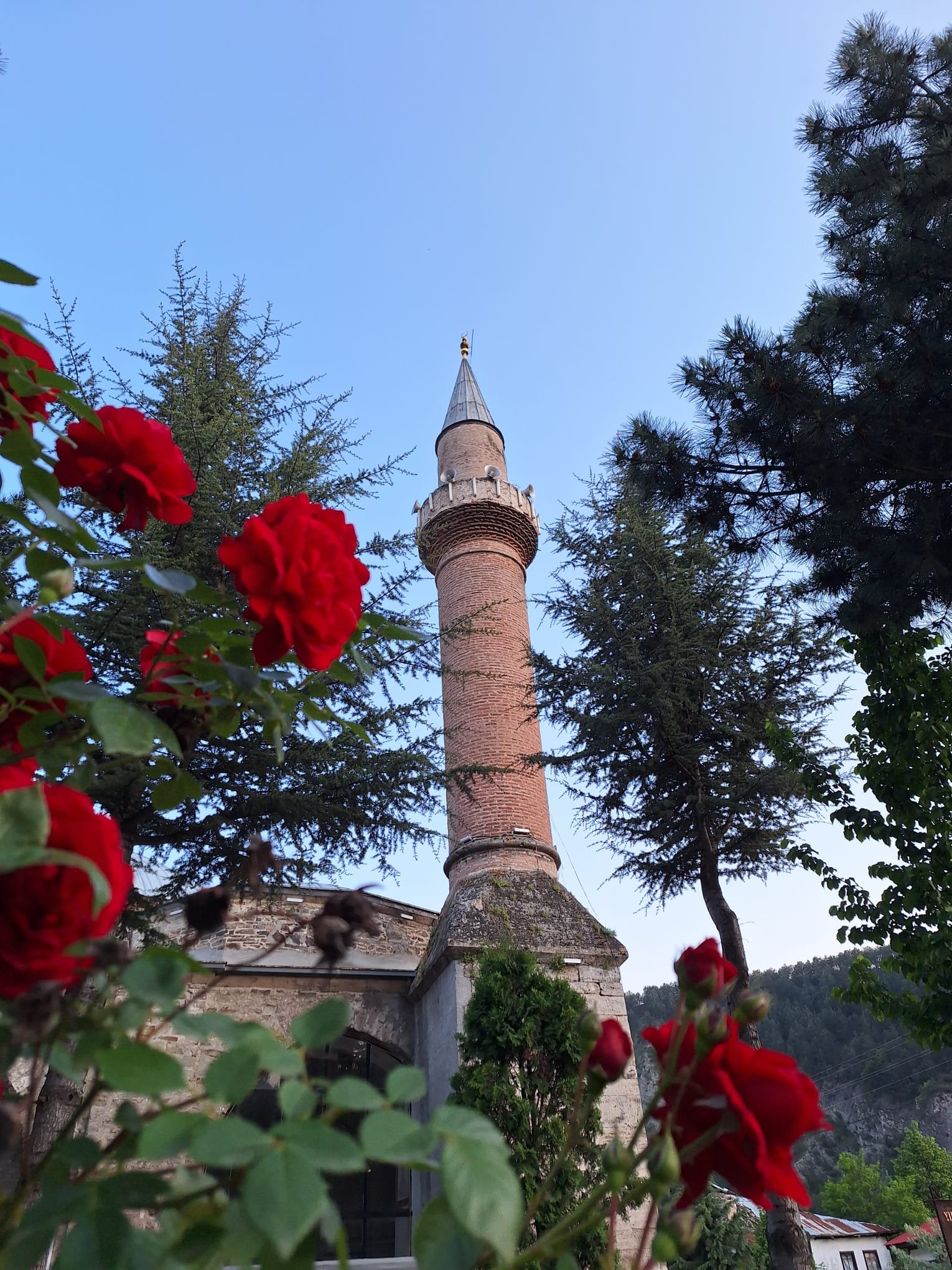 C A M I D E N A M A Z K I L A R K E N T E L E F O N U N U S A R J E T 1278994 380600