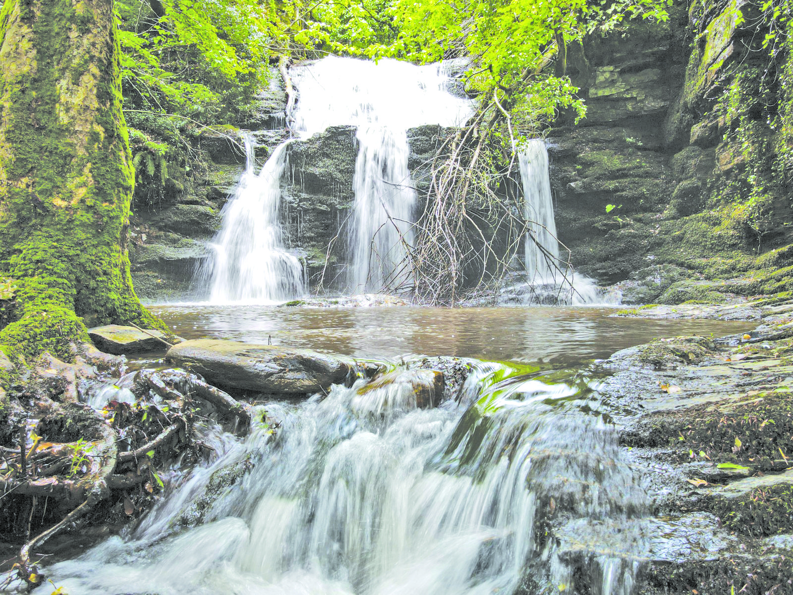 S╠Ğapc╠Ğ─▒ S╠Ğelalesi