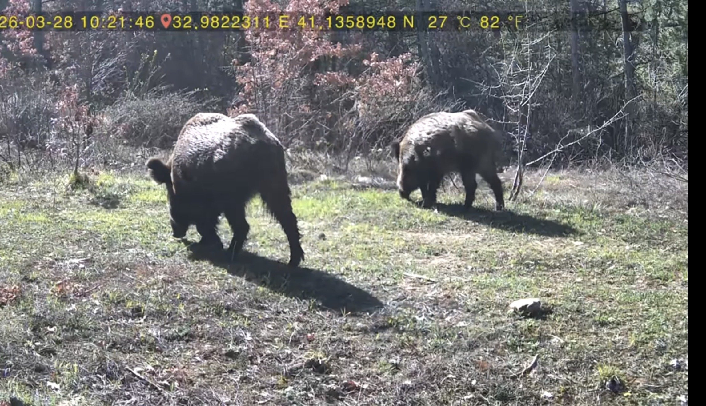 Y A B A N H A Y A T I F O T O K A P A N A Y A N S I D I 1263789 376157