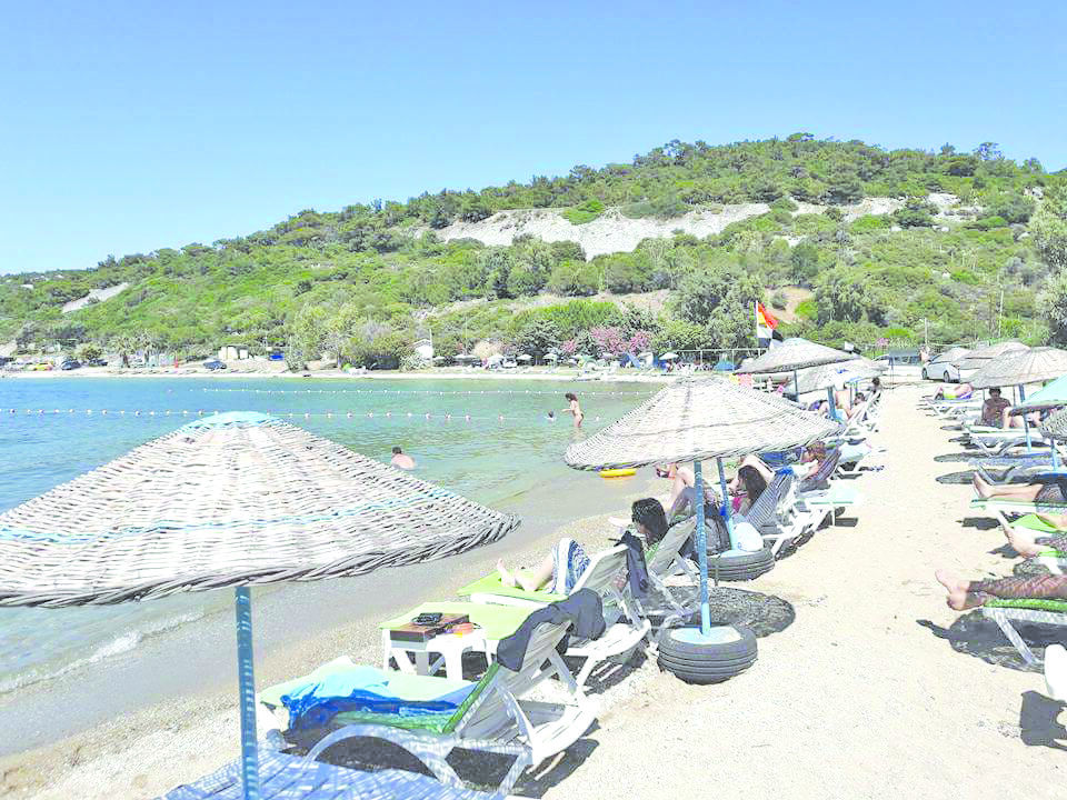 Foc╠Ğa23