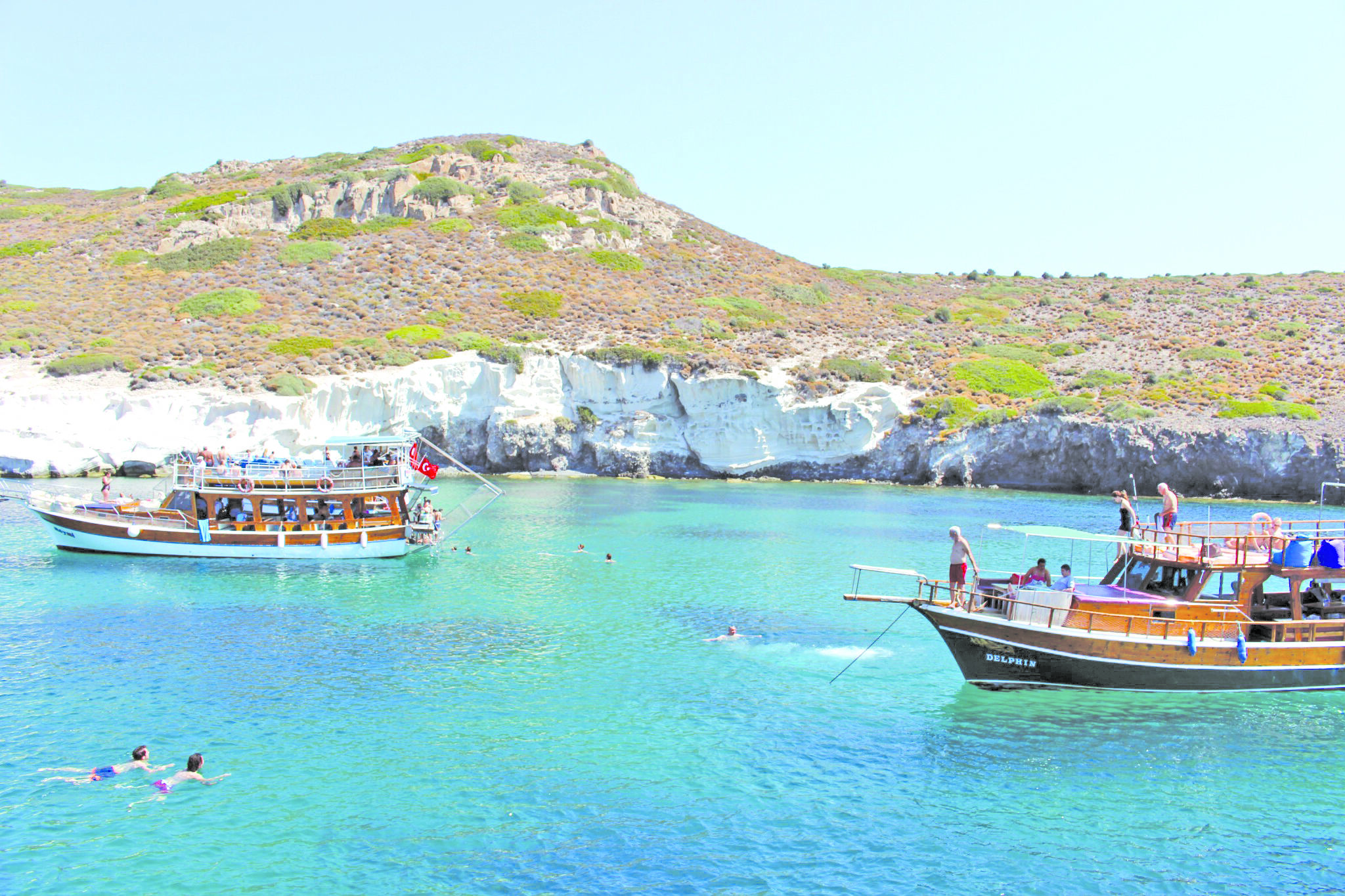 Foc╠Ğadalar