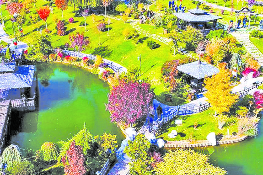 Park─▒