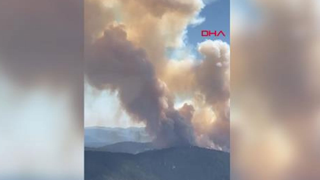 Ankara'da orman yangını
